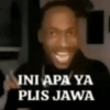 INI APA YA PLIS JAWA