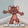 Tom and Jerry Meme 11