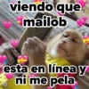 ❤️ Changuitos enamorados 💘 4