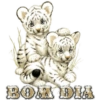 BOA DIA