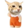 Funny cat memes 7