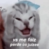 GATINHOS REAGINDO 15