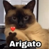 Arigato @Harley_Stickers