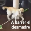 A barrer el desmadre