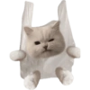 Funny cat memes 17