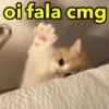 oi fala cmg