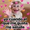 ❤️ Changuitos enamorados 💘 5