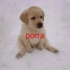 Dedo no cu e gritaria  27
