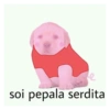 soi pepala serdita
Futbo
