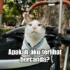 Bobby Kucing Prabowo 🐱 18