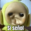 Si señol