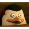 Shitpost Random 2 28