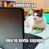 Bobby Kucing Prabowo 🐱 13
