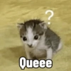 Queee