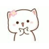 Kitten 23