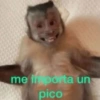 🤪👌Shitposting Random 😎🤟 2 5