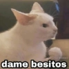 @Harley_Stickers dame besitos