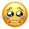 Emoji iphone gen z 🫩 14