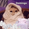 Domingo