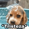 *Tristeza *