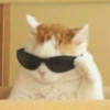 Cats (1/4) 27