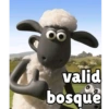 86
valid
bosque