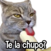 Amor Memes 2❤️🔥💖 22