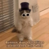 Buenos días estrellitas la tierra les dice hola
