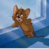 Jerryzada 5