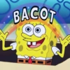 SpongeBob  7