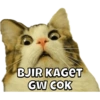 Anomali Binatang 13