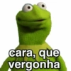 cara, que vergonha