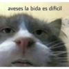 aveses la bida es dificil