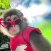 Monitos bonitos🐵✨ 13