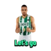 COOSUR COTTON'S Let's go