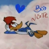 Bos Noite