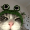 00