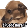 ¿Puedo llorar?