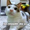 Bobby Kucing Prabowo 🐱 10