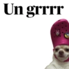 Dame un que un grr 12