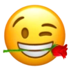 Emoji iphone gen z 🫩 11