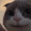 😼 Reacciones Gatunas 😽 7