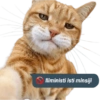 Iliministi isti minsiji 🚫 15