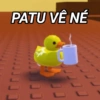 PATU VÊ NÉ בנננת ננו ננננ