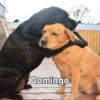Domingo