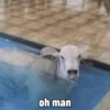 😎 Shitpost 27