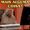 MACAQUINHOS EXPRESSIVOS 🐵 11