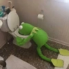🐸The F*cking Kermit🔫 5