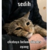 Semua hal ayang 13