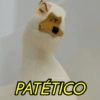 caliduckofficiel PATÉTICO